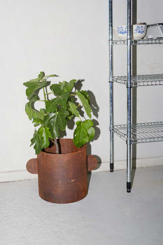 Bucket 01